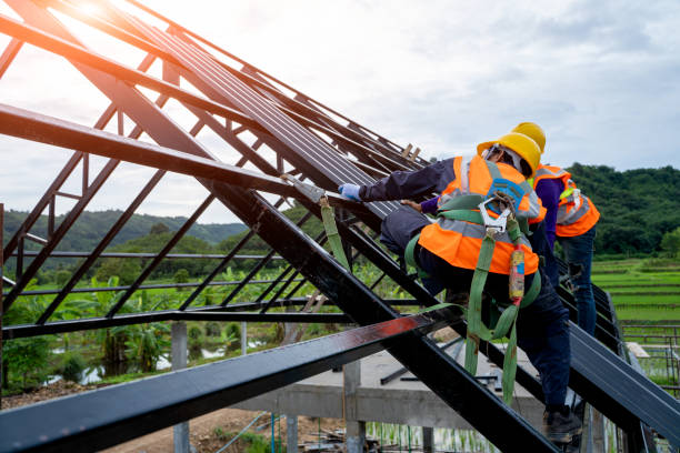 Best Flat Roof Repair Services  in Escobares, TX
