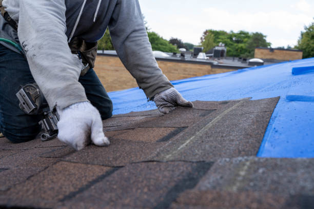 Escobares, TX Roofing Contractor Company