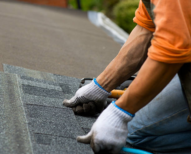 Best Local Roofing Companies  in Escobares, TX