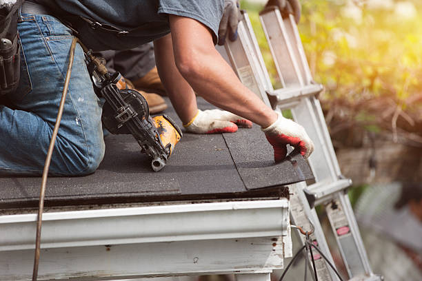 Best Roof Repair Specialists  in Escobares, TX