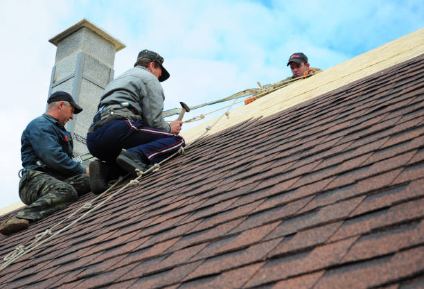 Best Roof Restoration Services  in Escobares, TX