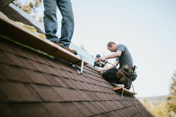Best Roof Gutter Cleaning  in Escobares, TX