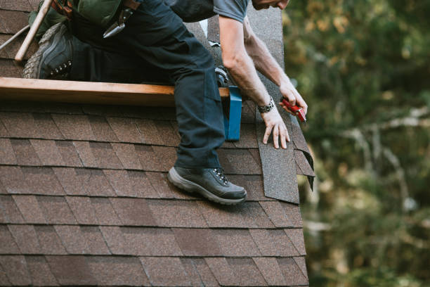 Best New Roof Installation  in Escobares, TX
